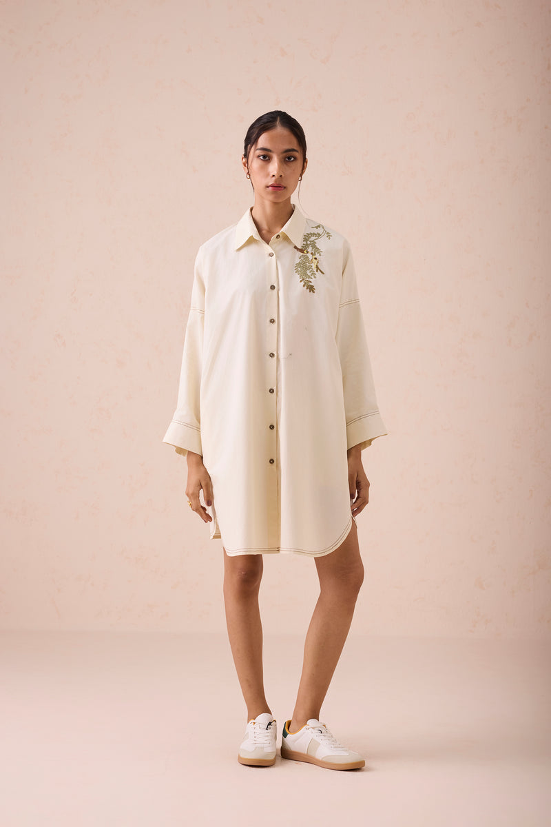 The Vista Everyday Classic Organic Cotton Shirt Dress